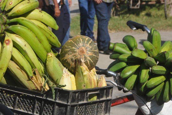 Las Tunas desarrollará feria agrocomercial este sábado